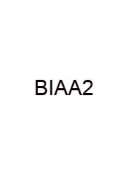 Big Ideas Answers Algebra 2