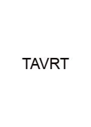 The Arbor Vitae Refers To