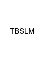 The Basic Speed Law Means