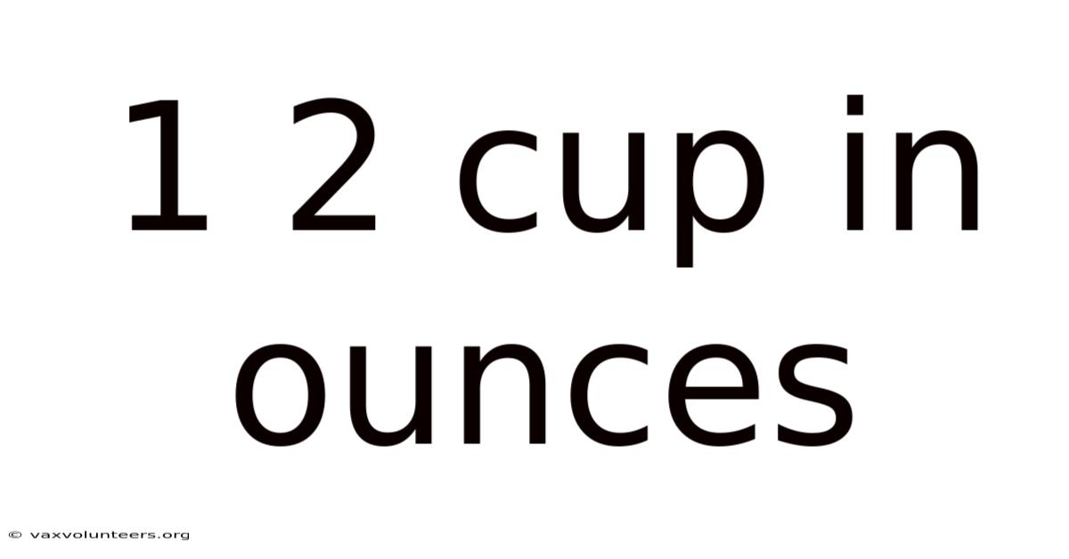 1 2 Cup In Ounces