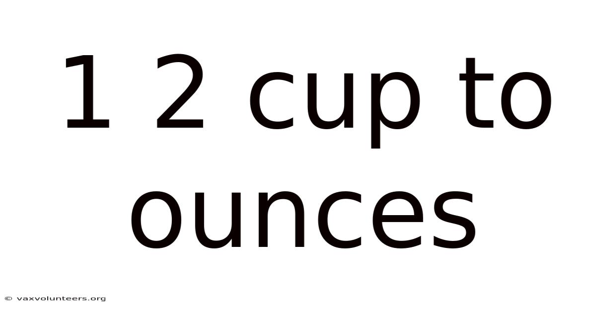 1 2 Cup To Ounces