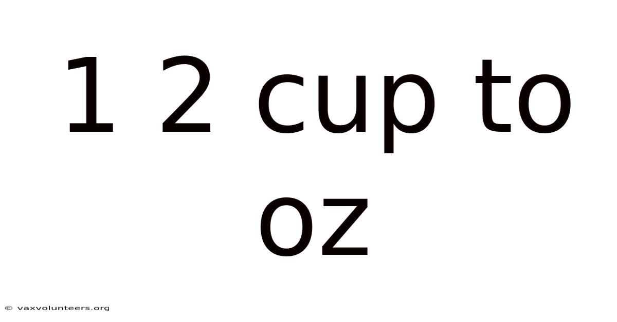 1 2 Cup To Oz
