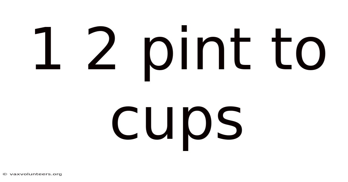 1 2 Pint To Cups
