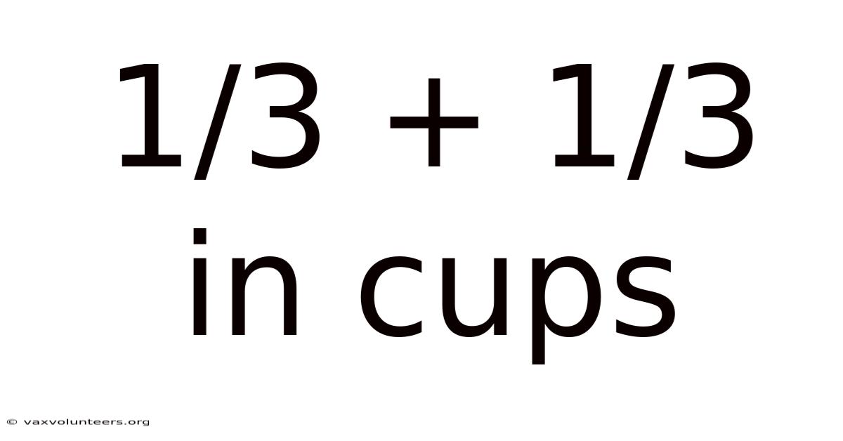 1/3 + 1/3 In Cups