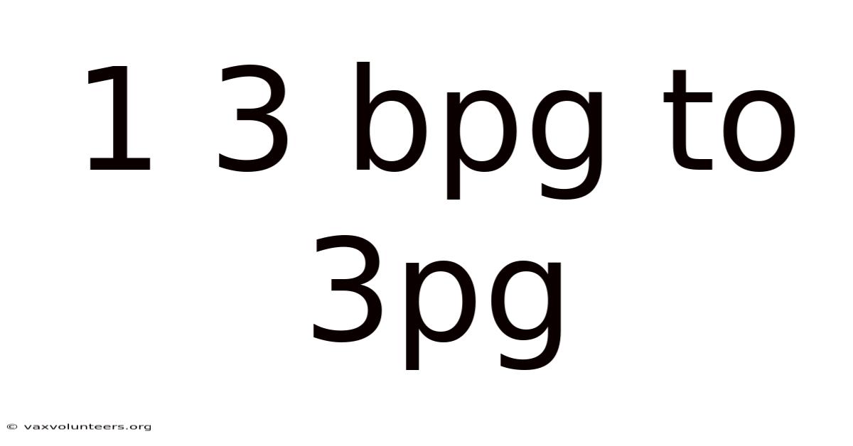 1 3 Bpg To 3pg
