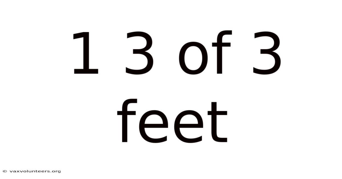 1 3 Of 3 Feet