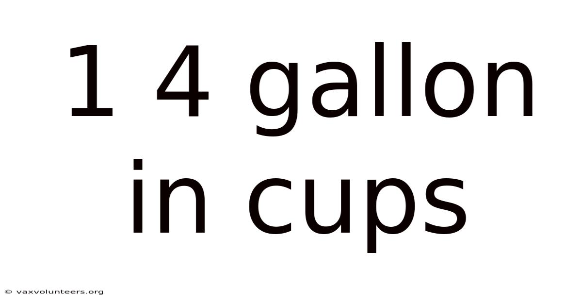 1 4 Gallon In Cups