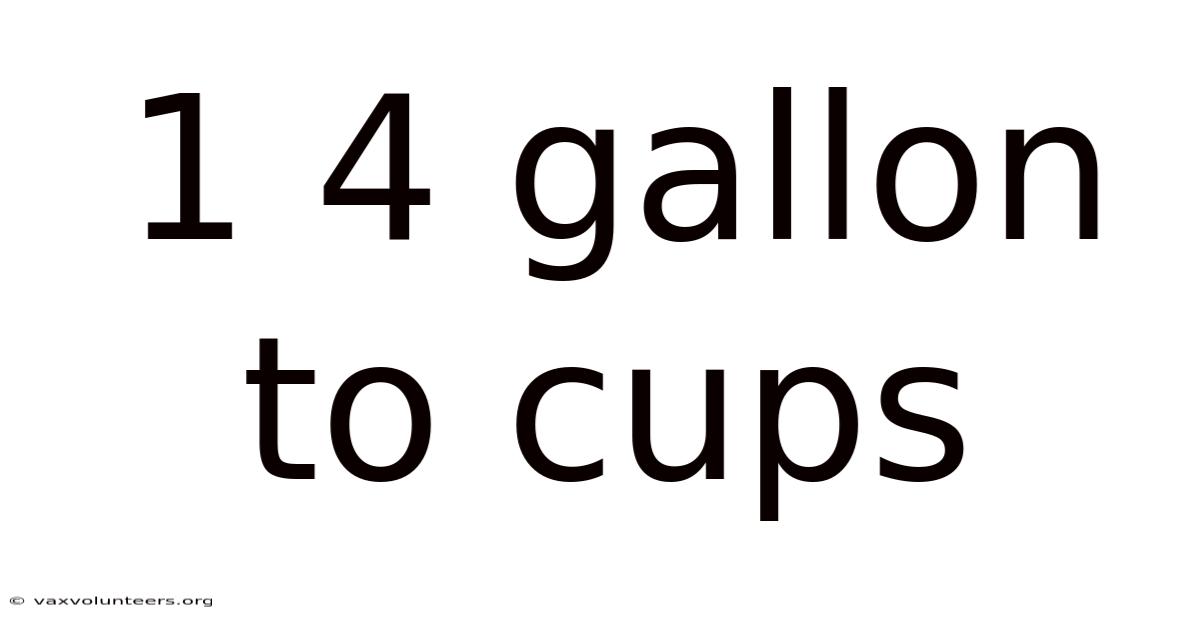 1 4 Gallon To Cups