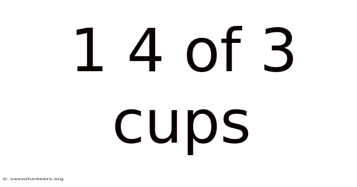 1 4 Of 3 Cups