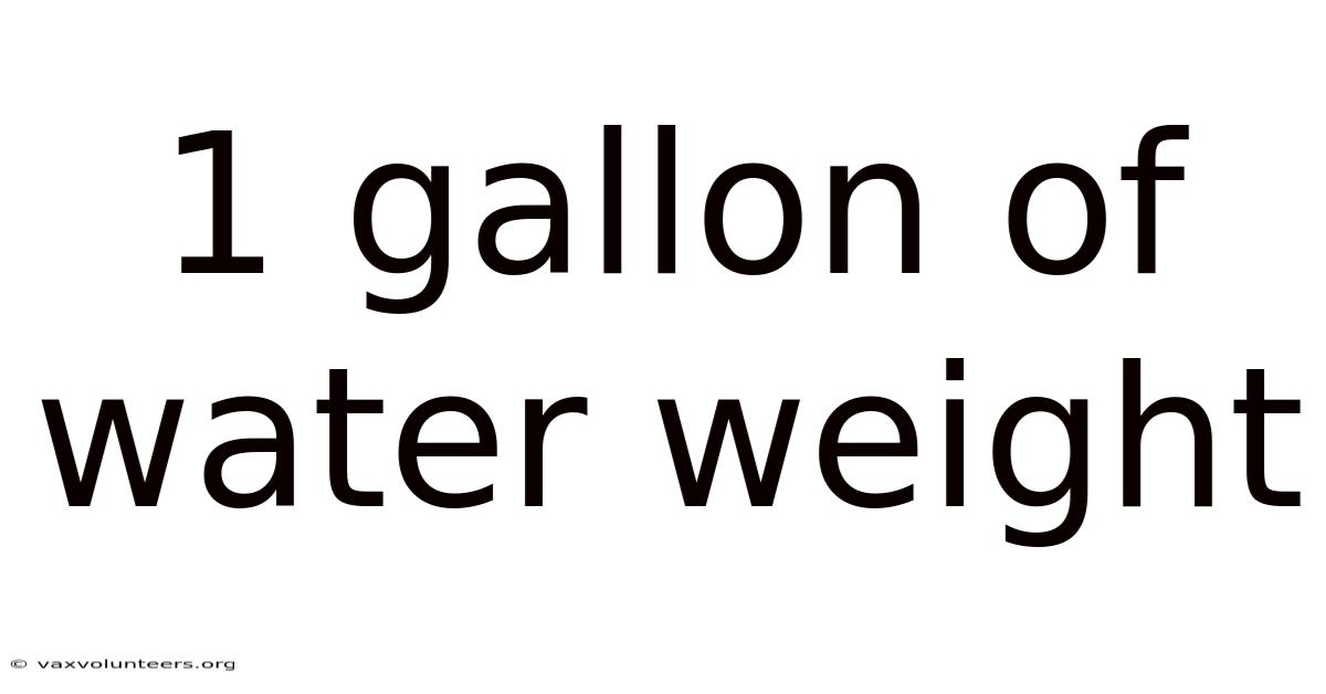 1 Gallon Of Water Weight