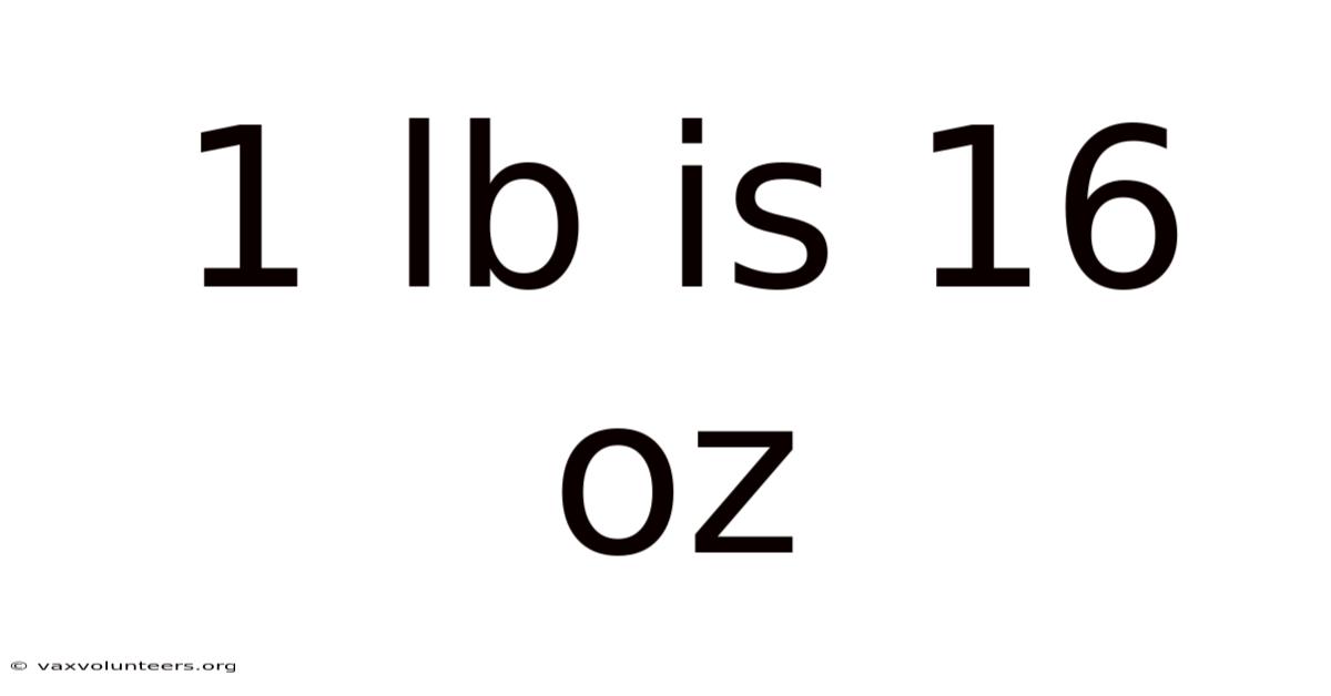 1 Lb Is 16 Oz