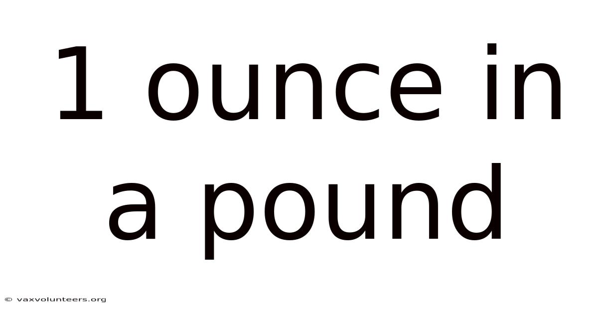 1 Ounce In A Pound
