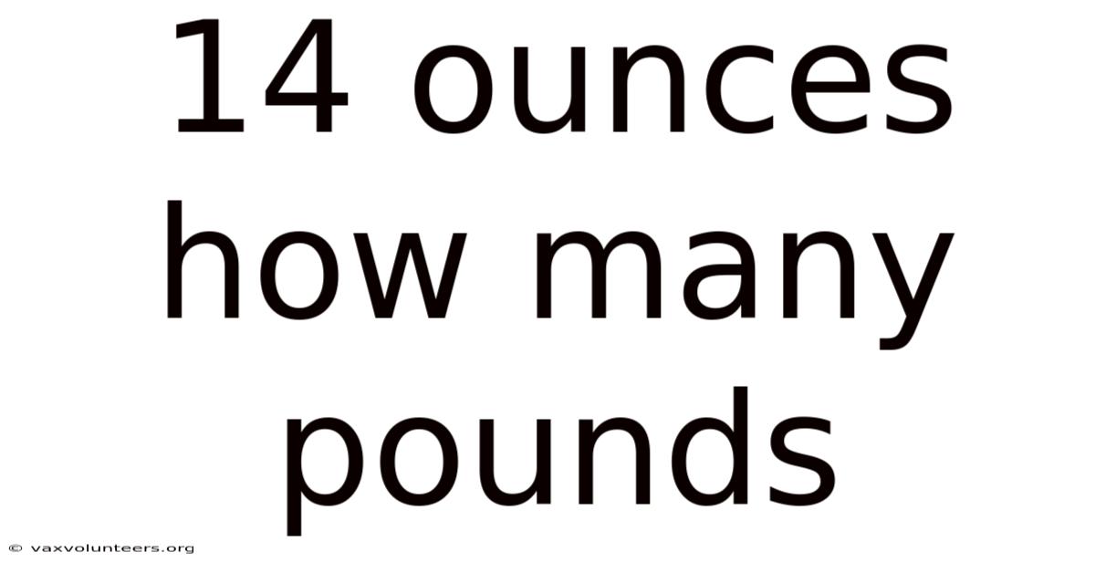 14 Ounces How Many Pounds