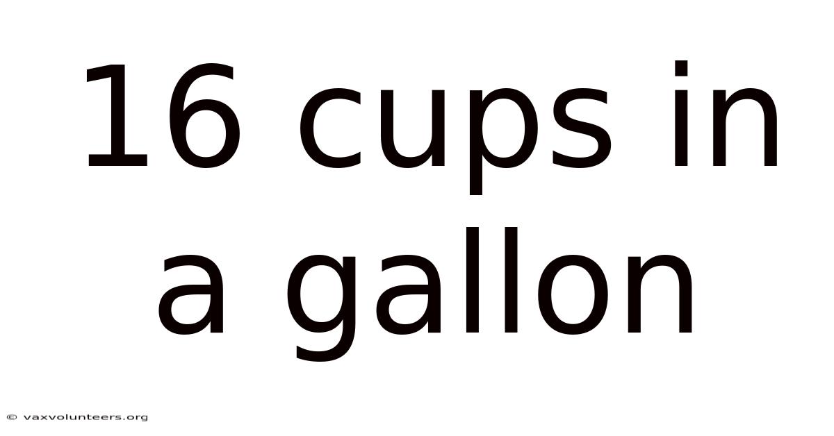 16 Cups In A Gallon