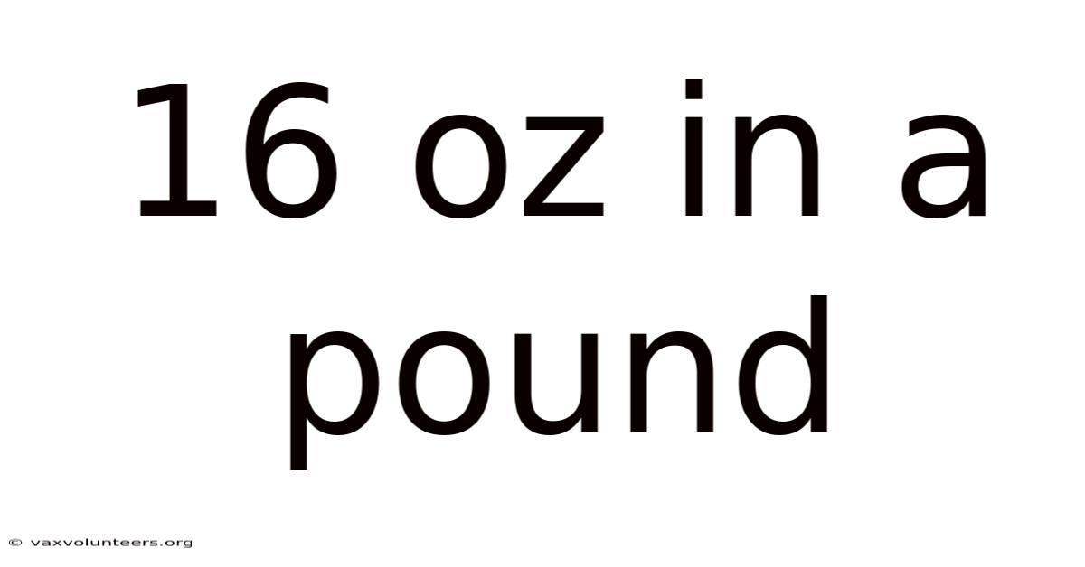16 Oz In A Pound