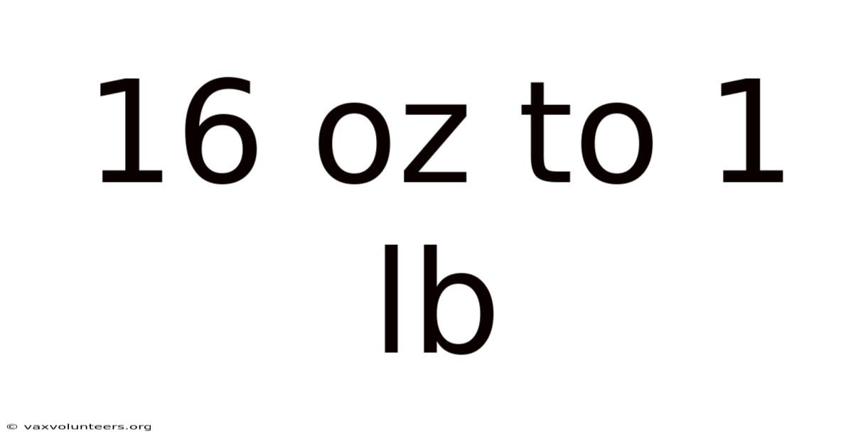 16 Oz To 1 Lb