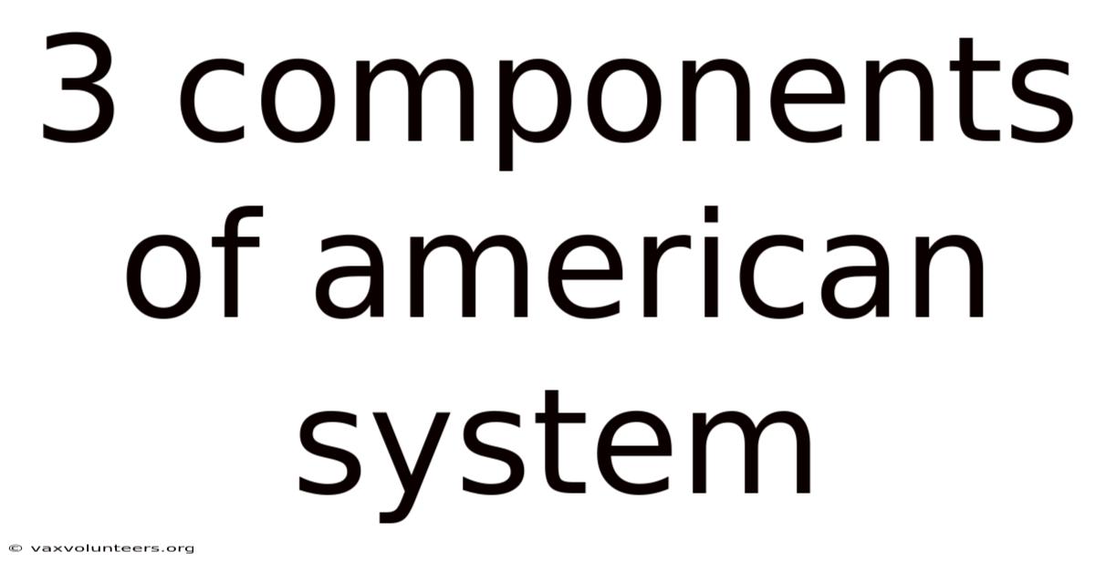3 Components Of American System