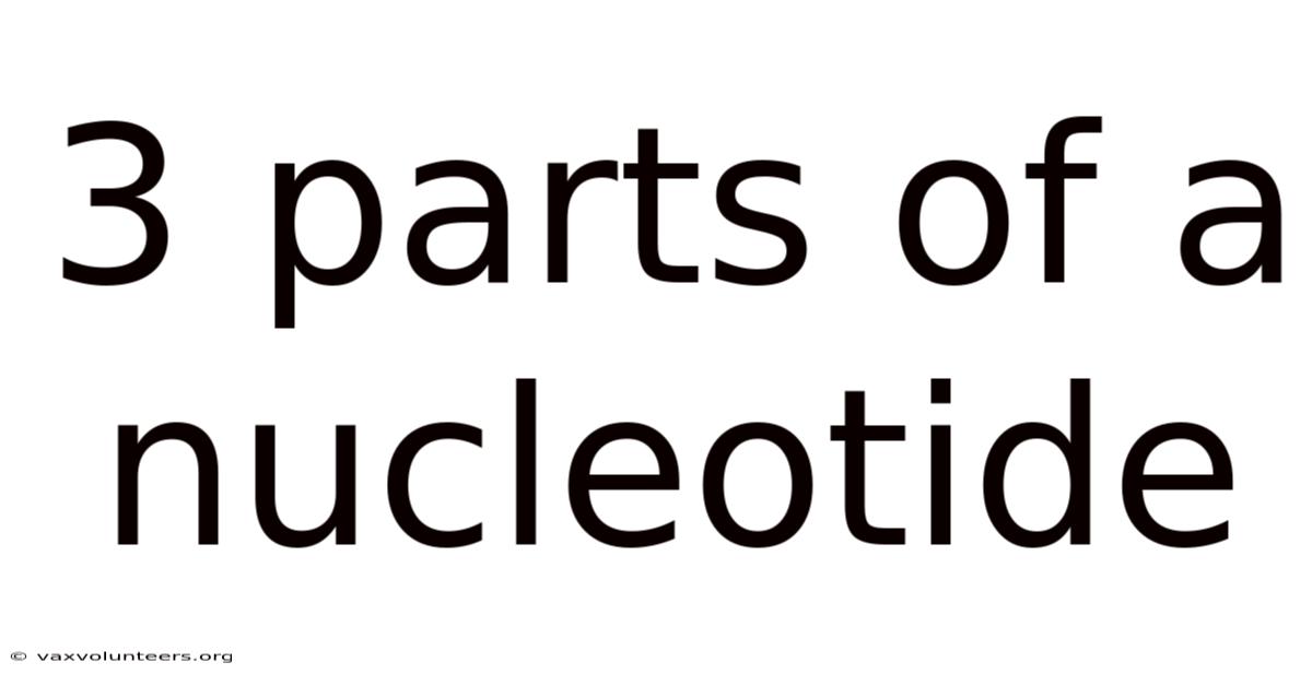 3 Parts Of A Nucleotide