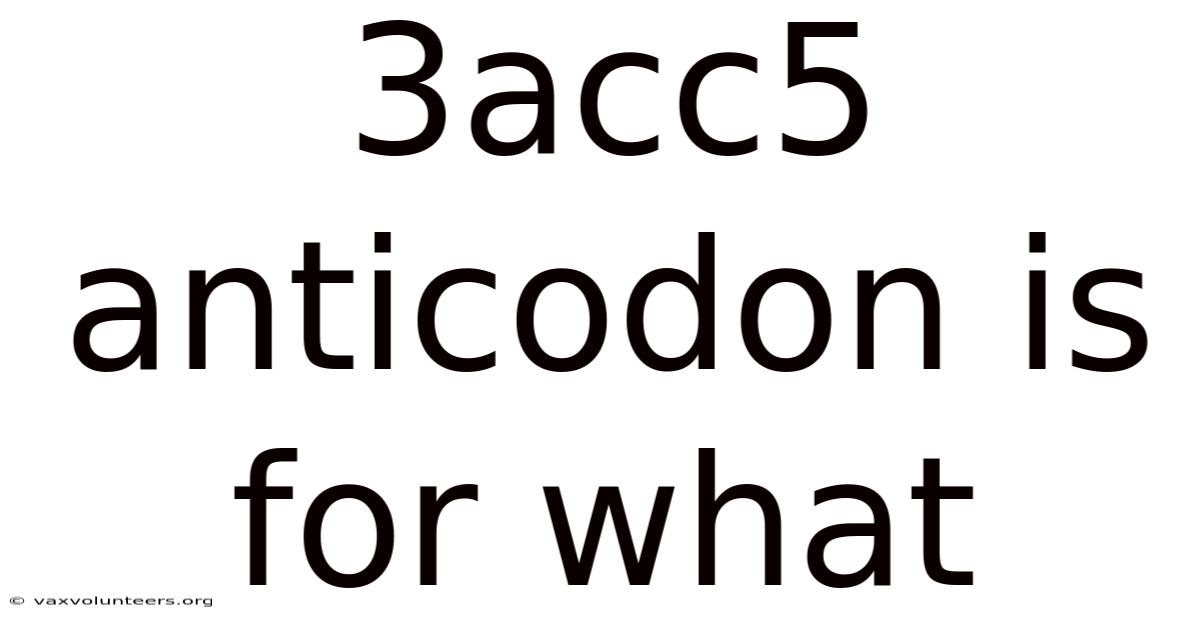 3acc5 Anticodon Is For What