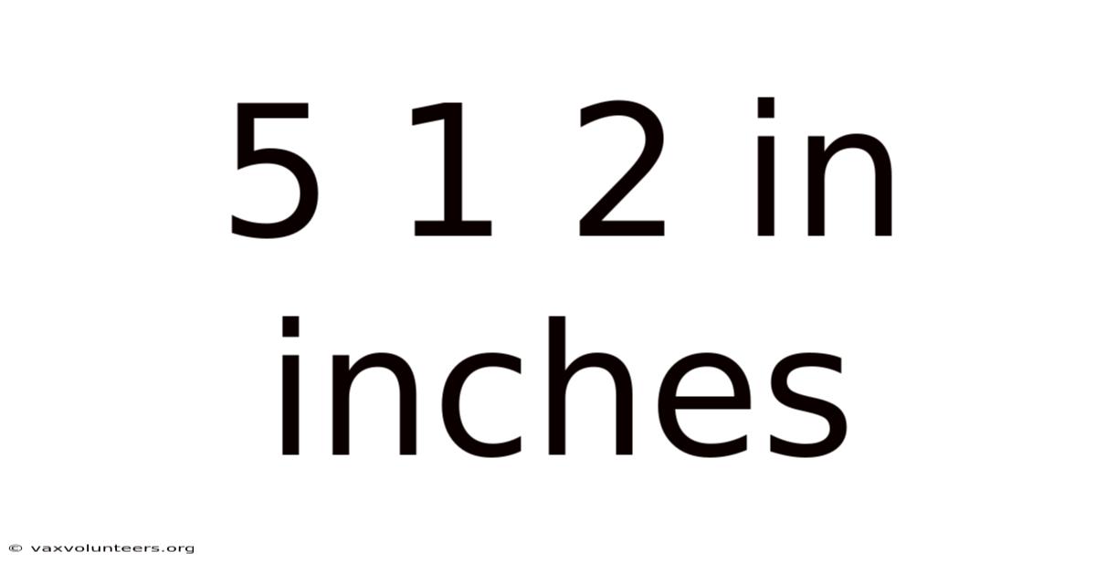 5 1 2 In Inches