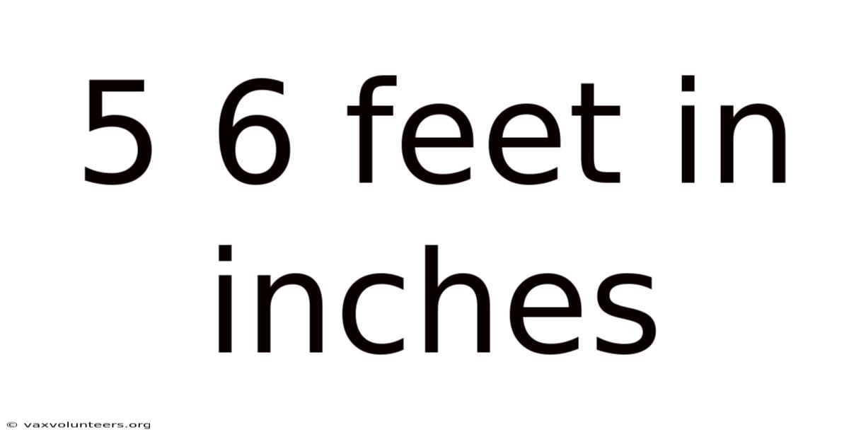 5 6 Feet In Inches
