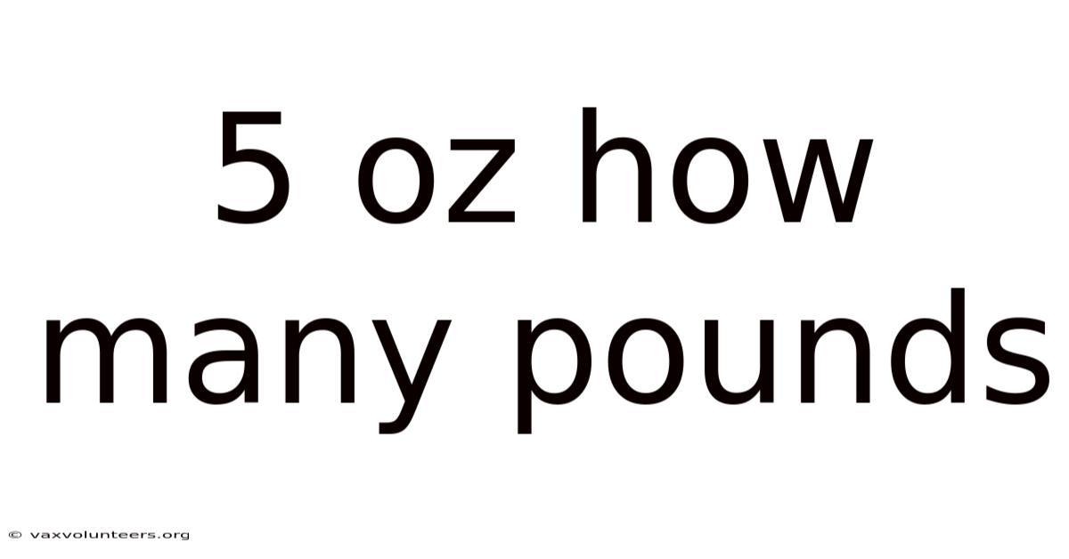 5 Oz How Many Pounds