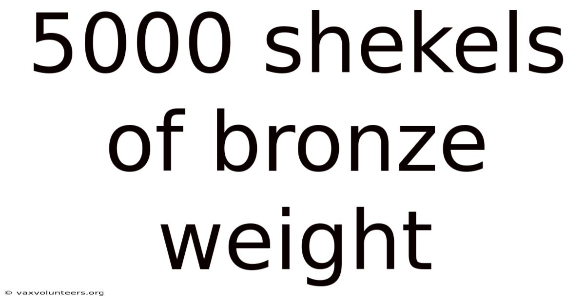 5000 Shekels Of Bronze Weight