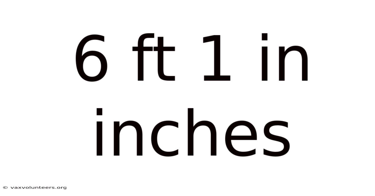 6 Ft 1 In Inches