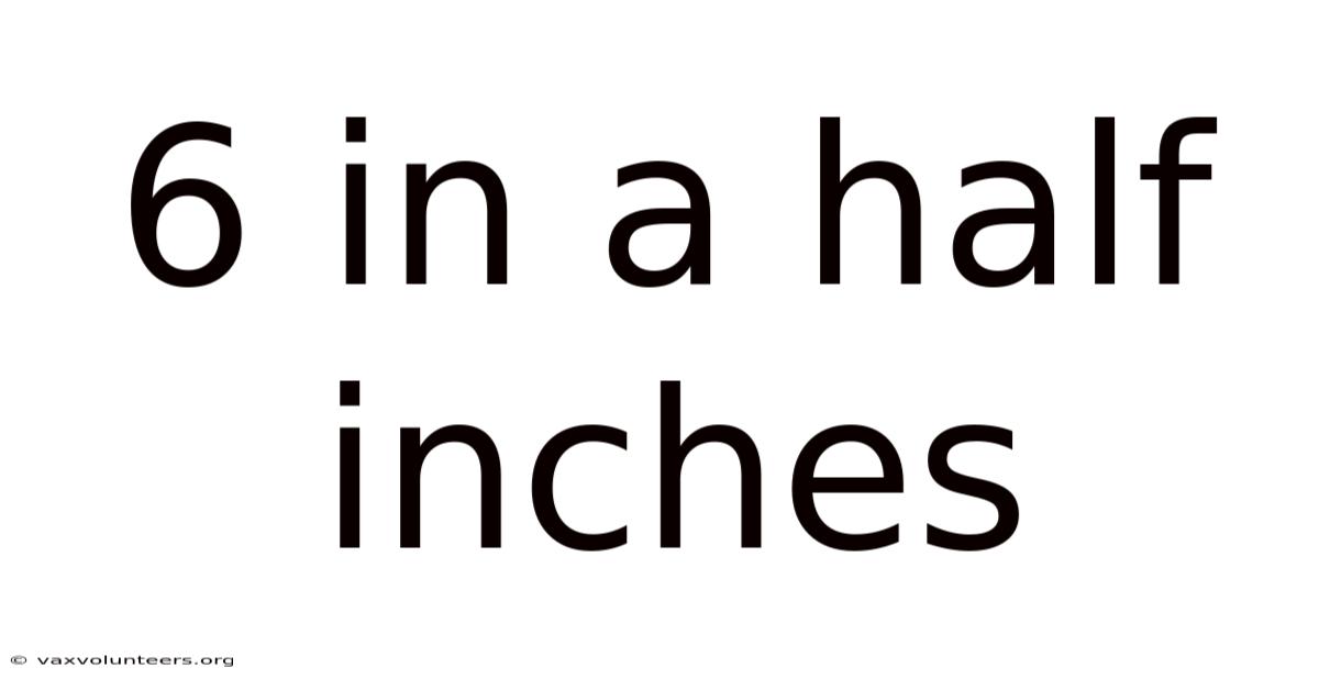 6 In A Half Inches