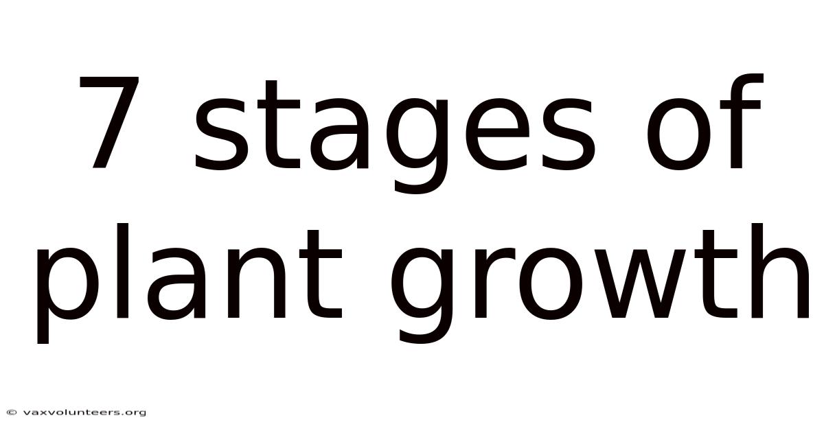 7 Stages Of Plant Growth