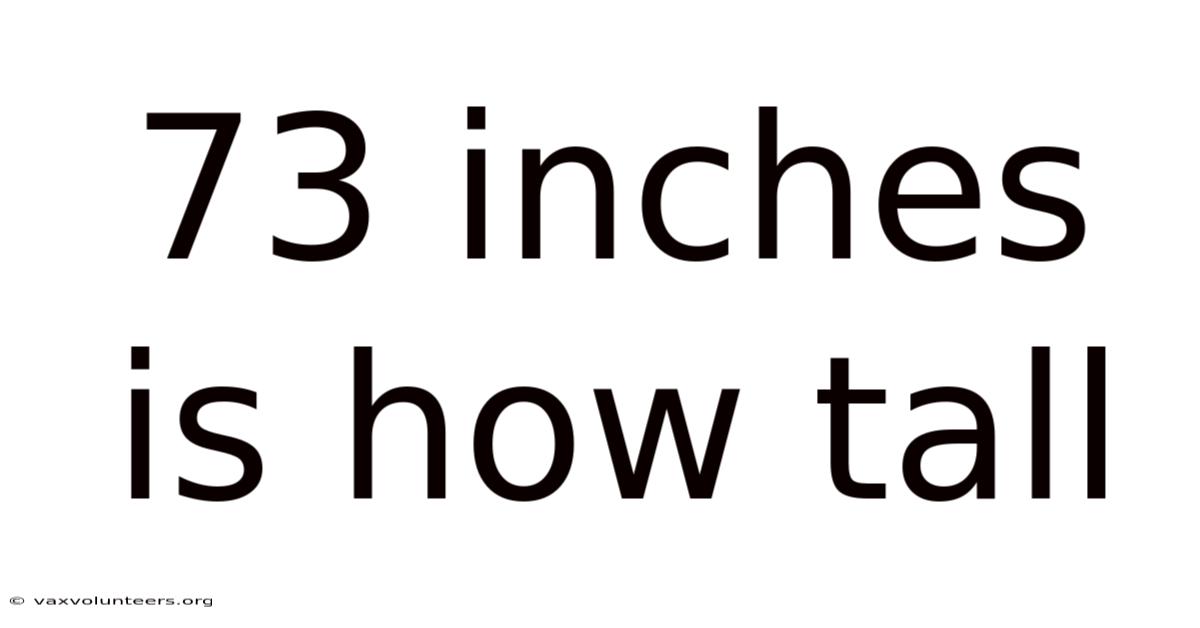 73 Inches Is How Tall