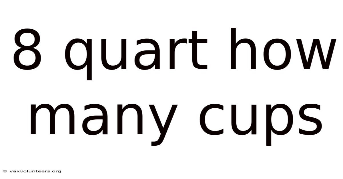 8 Quart How Many Cups