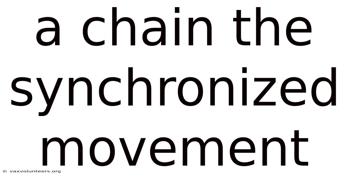 A Chain The Synchronized Movement