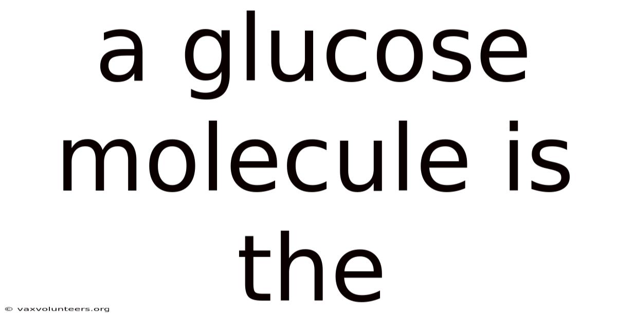 A Glucose Molecule Is The