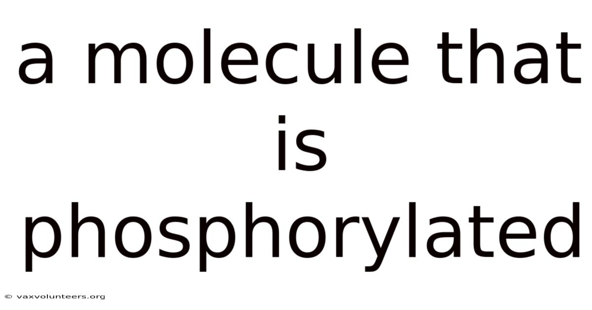 A Molecule That Is Phosphorylated