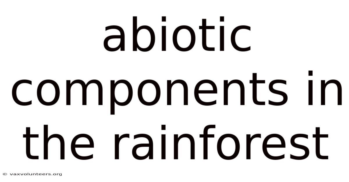 Abiotic Components In The Rainforest