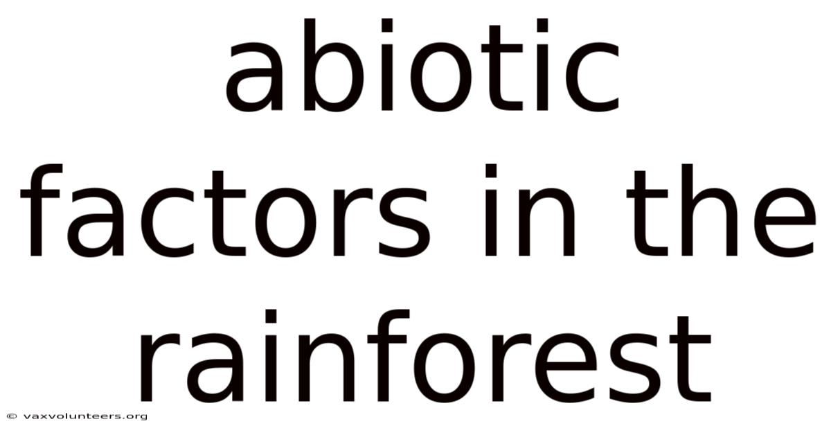 Abiotic Factors In The Rainforest