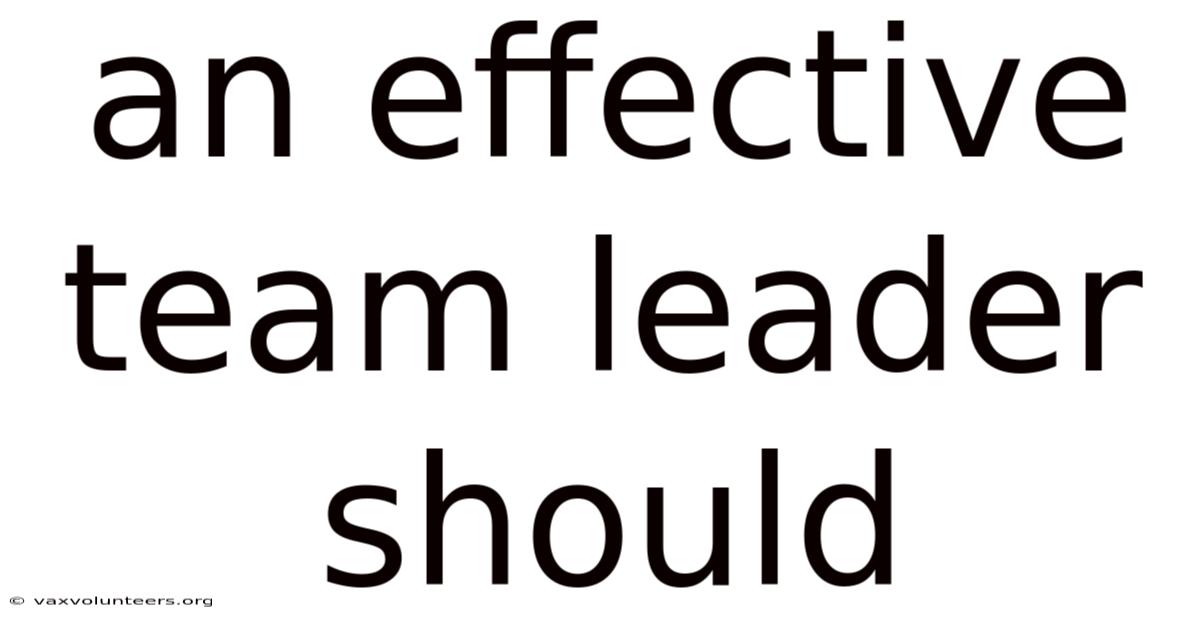 An Effective Team Leader Should