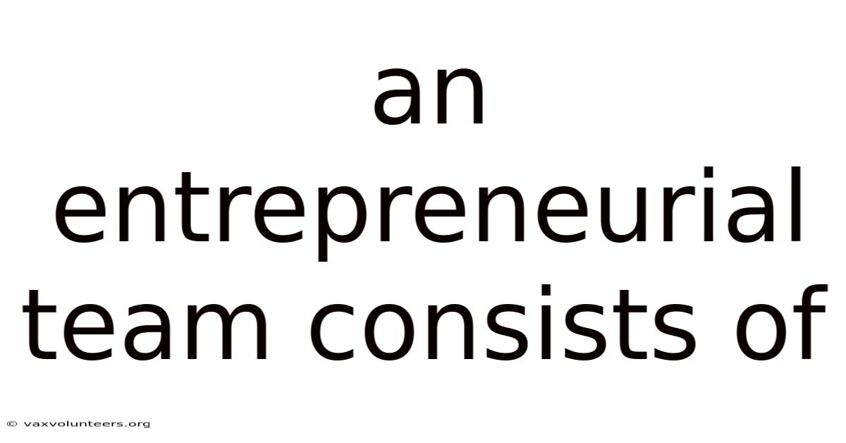 An Entrepreneurial Team Consists Of