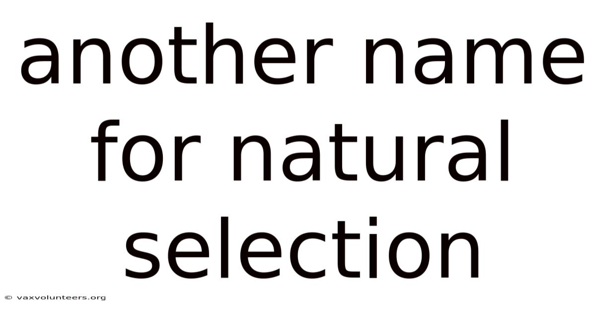 Another Name For Natural Selection