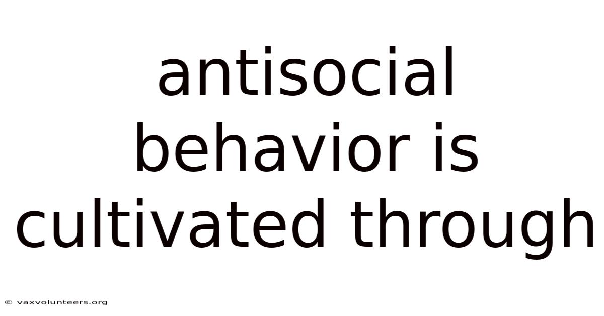 Antisocial Behavior Is Cultivated Through