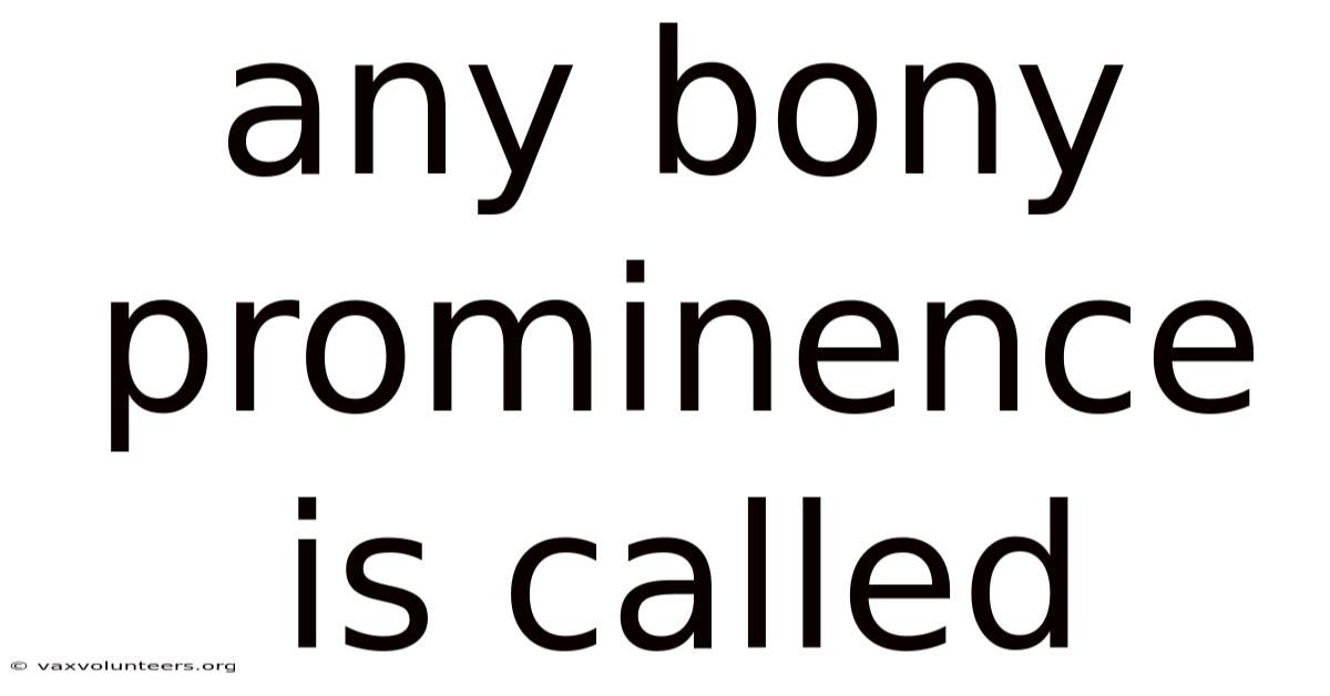 Any Bony Prominence Is Called