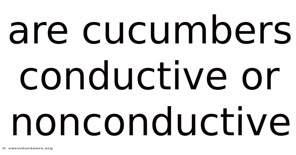 Are Cucumbers Conductive Or Nonconductive