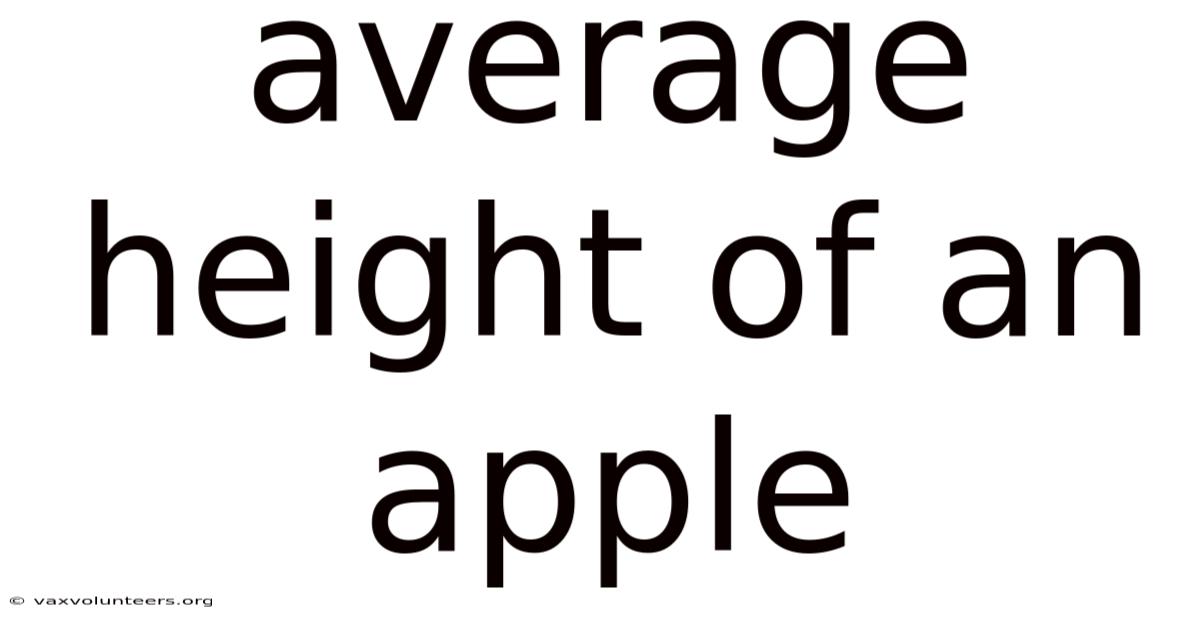 Average Height Of An Apple