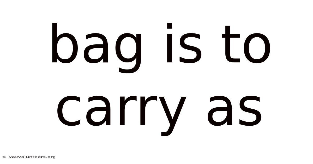 Bag Is To Carry As