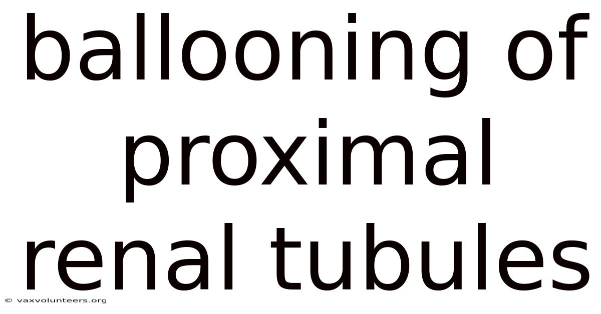 Ballooning Of Proximal Renal Tubules