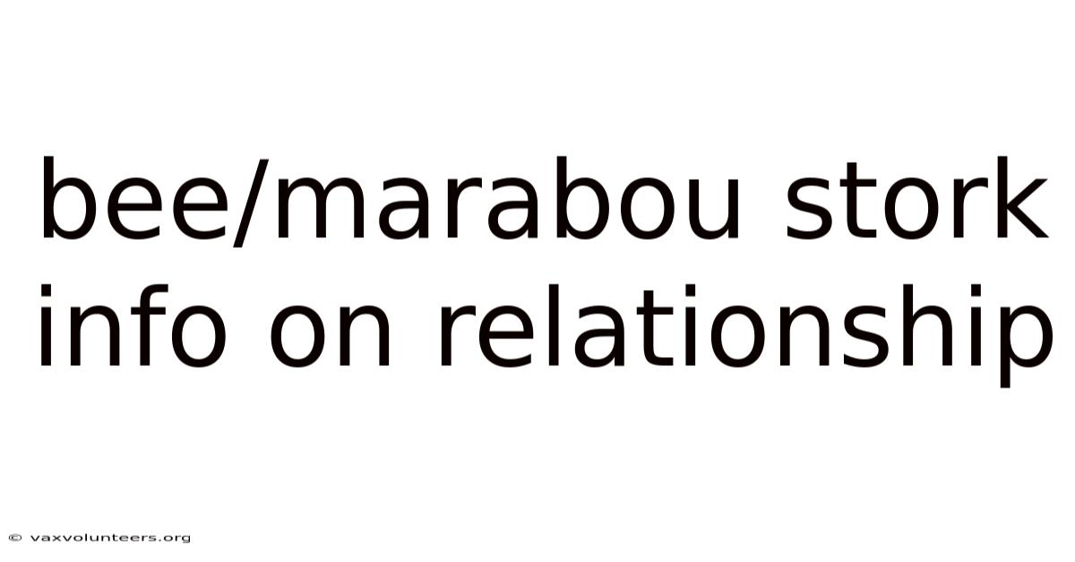 Bee/marabou Stork Info On Relationship