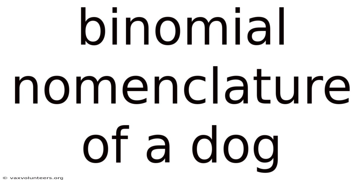 Binomial Nomenclature Of A Dog