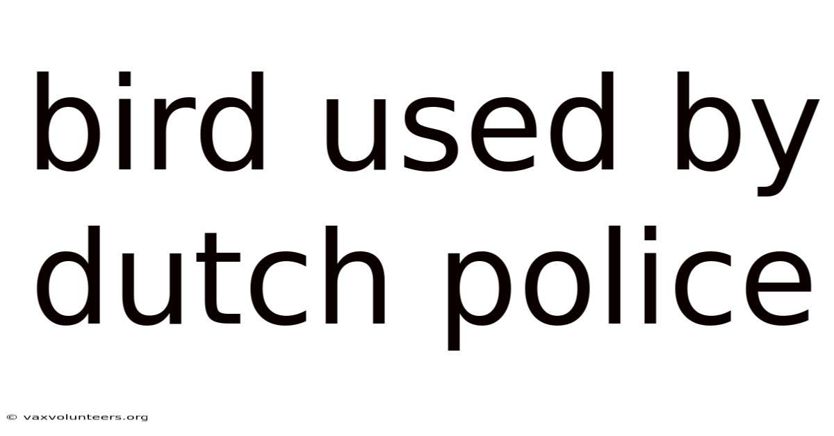 Bird Used By Dutch Police