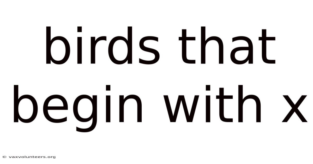 Birds That Begin With X